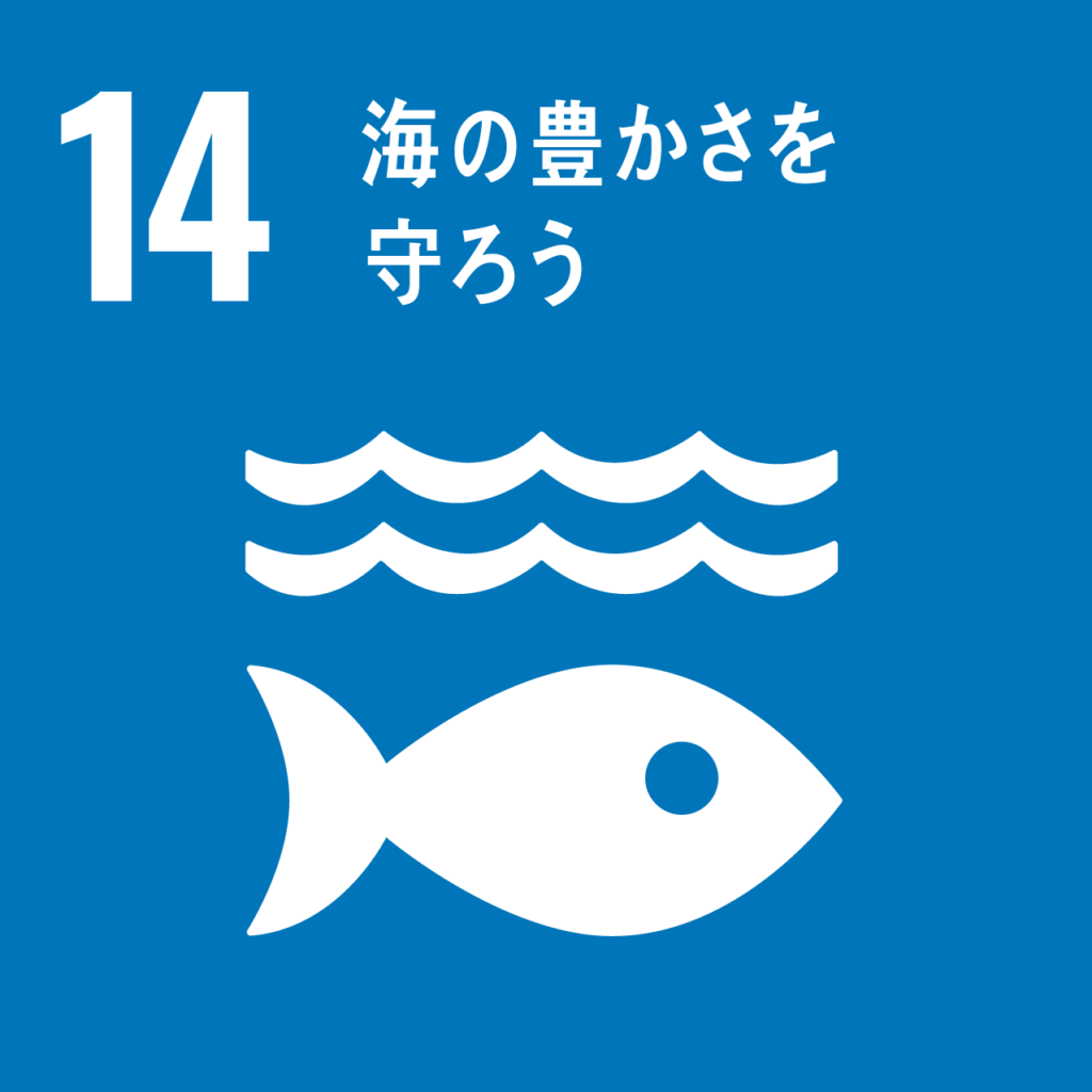 sdgs goal3